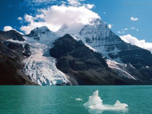 monte robson