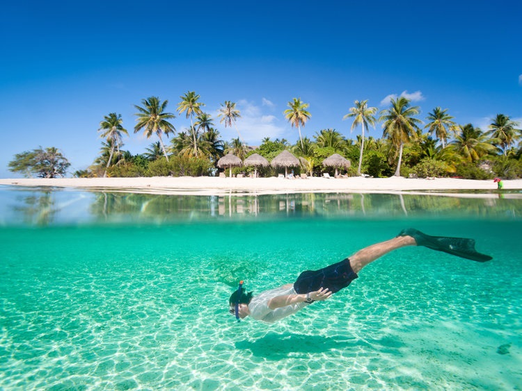 immersioni in belize