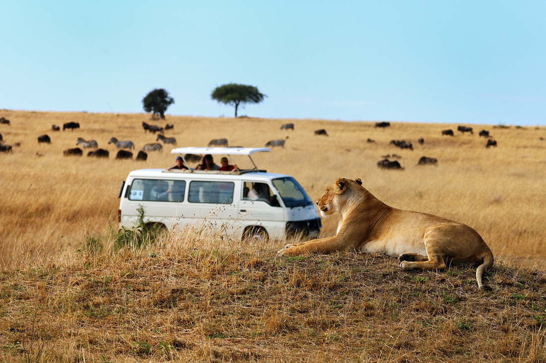 Safari in Africa