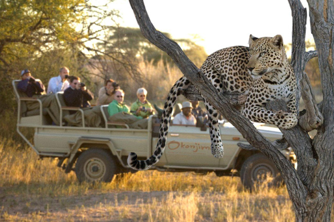 safari namibia