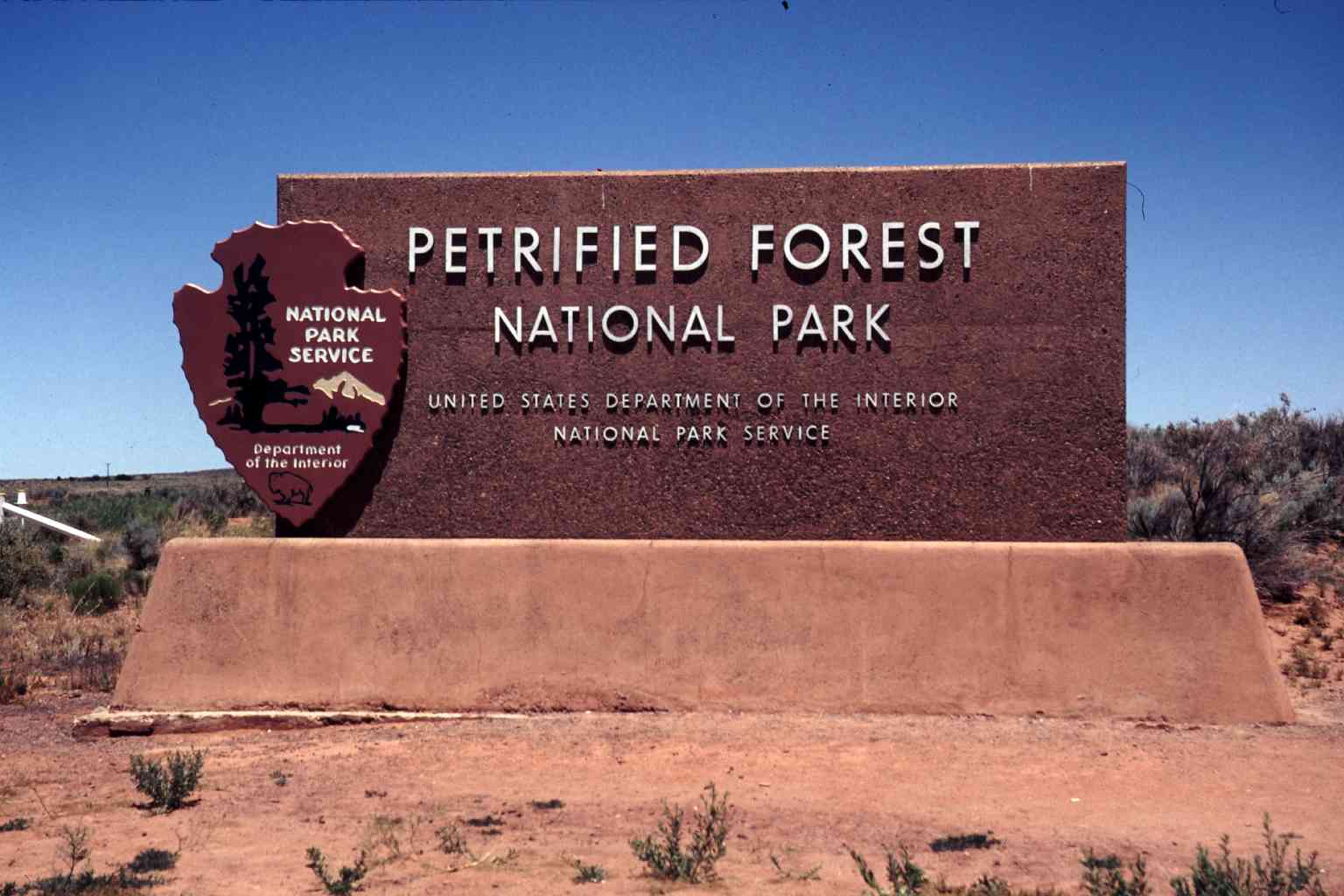 Petrified Forest