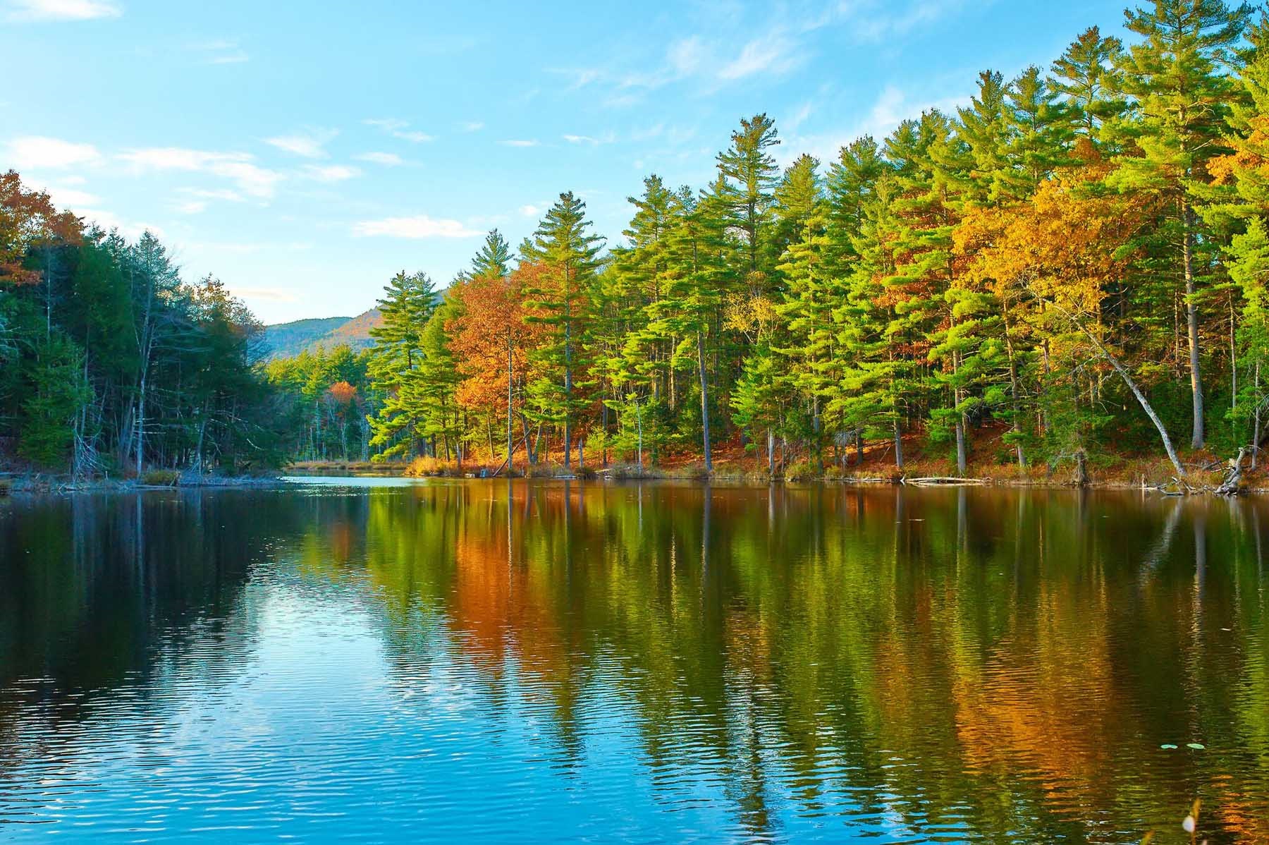 new hampshire